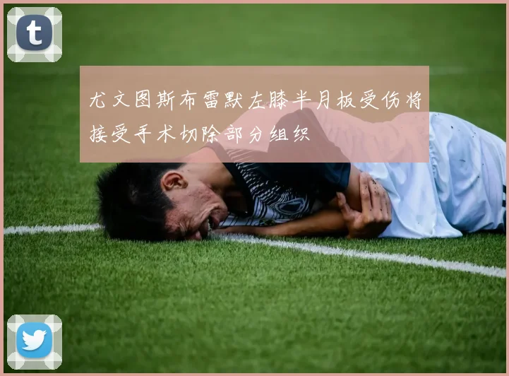 尤文图斯布雷默左膝半月板受伤将接受手术切除部分组织