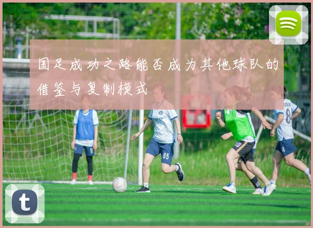 国足成功之路能否成为其他球队的借鉴与复制模式