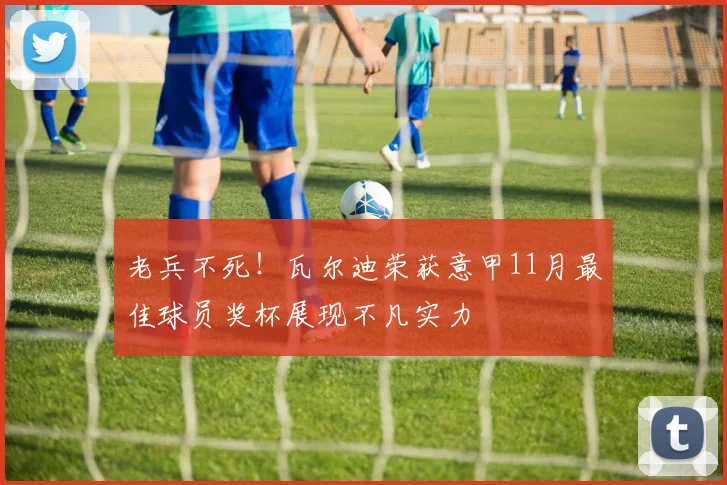 老兵不死！瓦尔迪荣获意甲11月最佳球员奖杯展现不凡实力